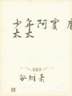 少年阿宾 房东太太