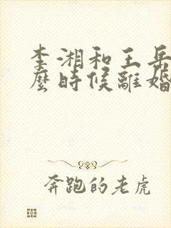 李湘和王岳伦什么时候离婚