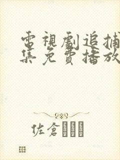 电视剧追捕者全集免费播放
