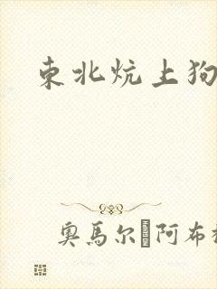 东北炕上狗儿封面
