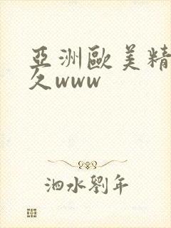 亚洲欧美精品久久www封面