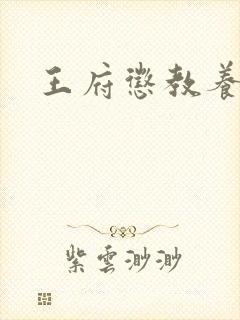 王府惩教养日常