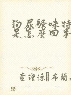 狗尿骚味特别大是怎么回事封面