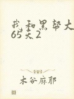 我和黑帮大佬365天2