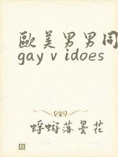 欧美男男同性恋gayⅴidoes