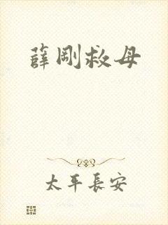薛刚救母