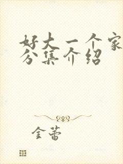 好大一个家剧情分集介绍