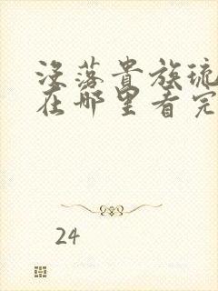 没落贵族琉璃川在哪里看完整版