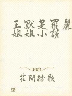 王默是罗丽的亲姐姐小说