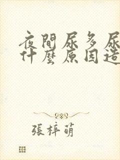 夜间尿多尿频是什么原因造成的封面