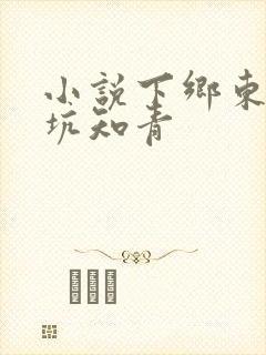 小说下乡东北大坑知青