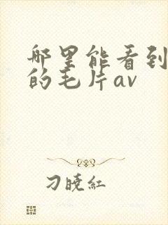 哪里能看到免费的毛片av