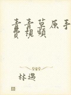 青青草原手机免费视频封面