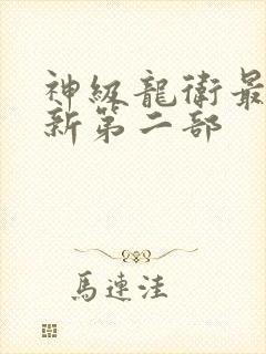 神级龙卫最新更新第二部