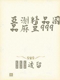 亚洲精品国产精品麻豆999