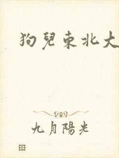 狗儿东北大炕