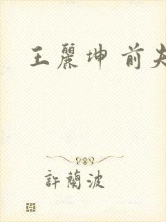 王丽坤 前夫