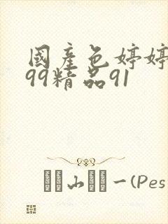 国产色婷婷久久99精品91封面