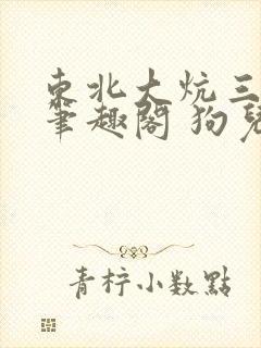 东北大炕三部曲笔趣阁 狗儿封面