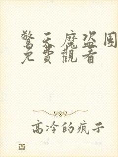 惊天魔盗团电影免费观看
