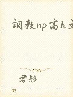 调教np高h文