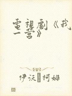 电视剧《我的特一营》