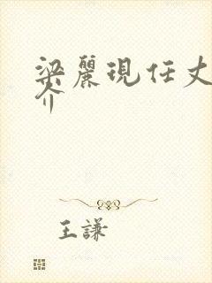 梁丽现任丈夫简介