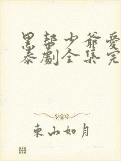 黑帮少爷爱上我泰剧全集完整