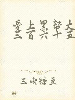 爱上黑帮大佬的三百六十五天第二季