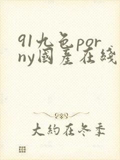 91九色porny国产在线