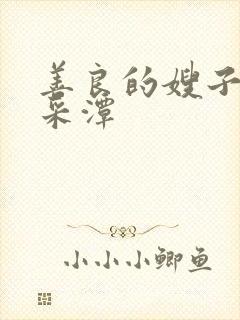 善良的嫂子3李采潭封面