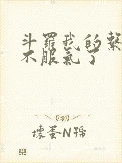 斗罗我的系统又不服气了