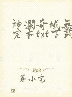 神澜奇域无双珠完本txt下载