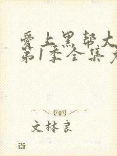 爱上黑帮大佬的第1季全集免费观看