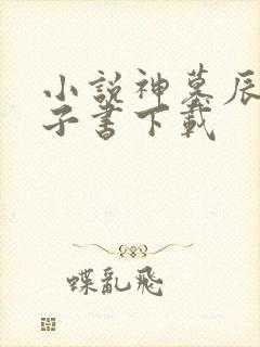 小说神墓辰东电子书下载封面