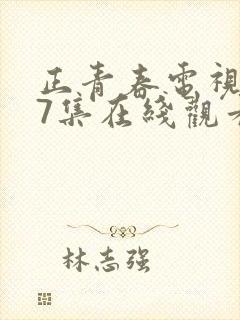 正青春电视剧47集在线观看免费封面