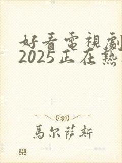 好看电视剧推荐2025正在热播的剧封面
