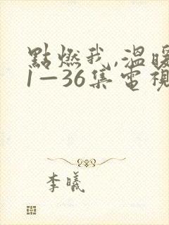 点燃我,温暖你1—36集电视剧免费观看
