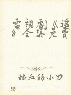 电视剧《追捕者》全集免费封面