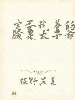 完蛋我养的小白脸是太子爷封面