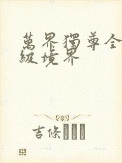 万界独尊全部等级境界