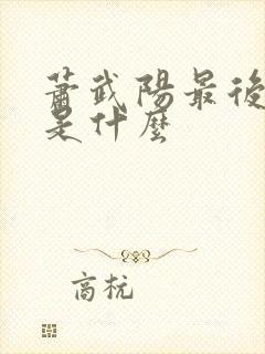 萧武阳最后结局是什么封面