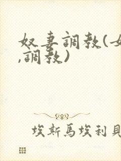奴妻调教(女m,调教)