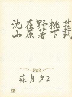 沈在野桃花映江山原著下载