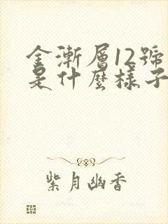 金渐层12号色是什么样子的封面