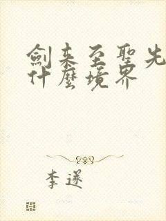 剑来至圣先师是什么境界