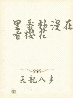 里番动漫在线观看樱花封面