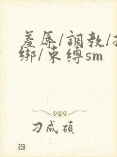 羞辱/调教/捆绑/束缚sm
