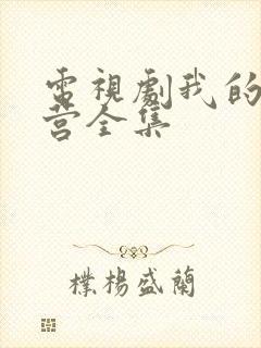 电视剧我的特一营全集封面