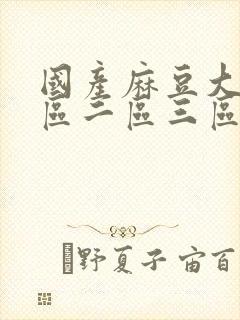 国产麻豆大片一区二区三区